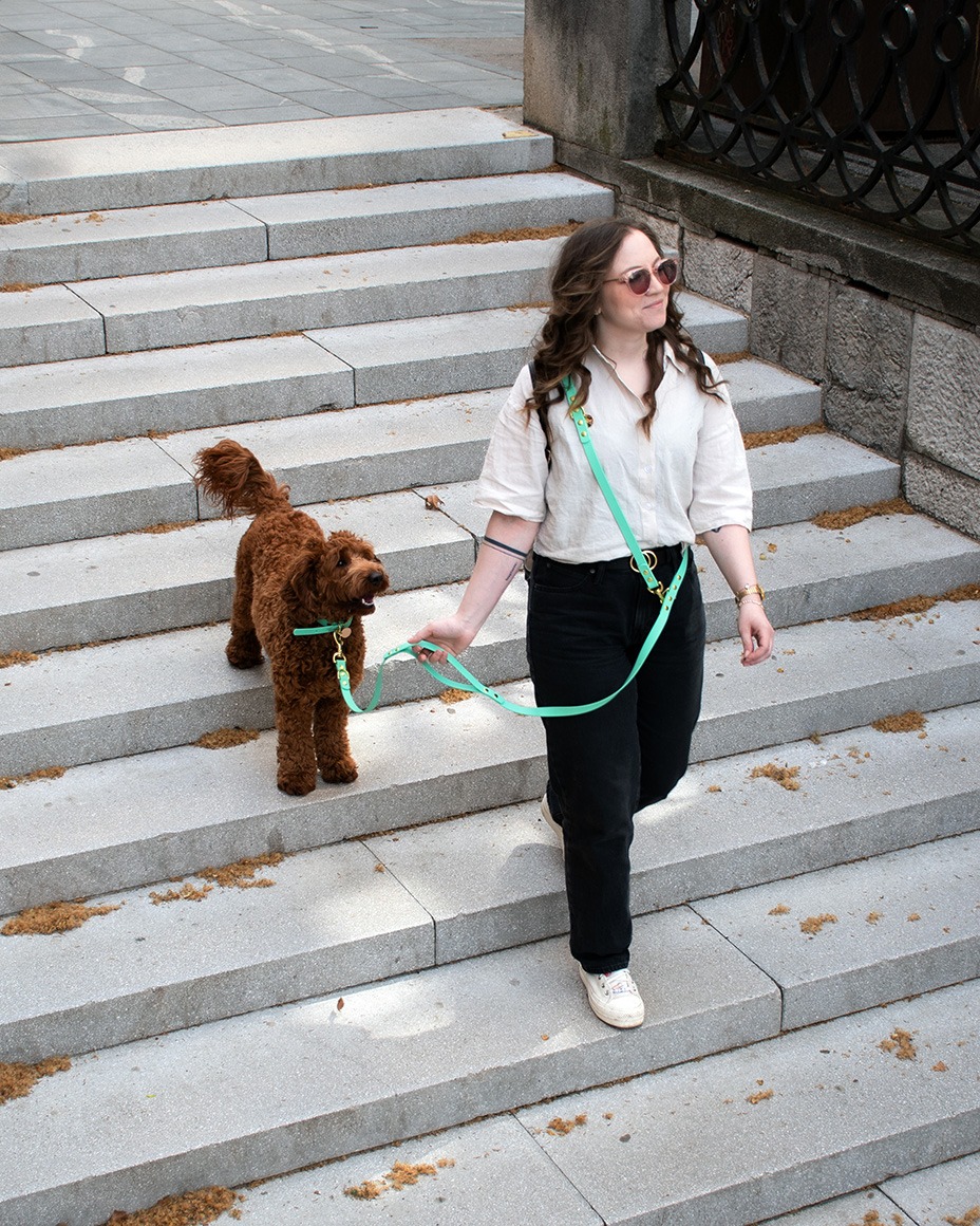 Dog owner and dog together